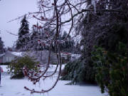 icestorm009.jpg