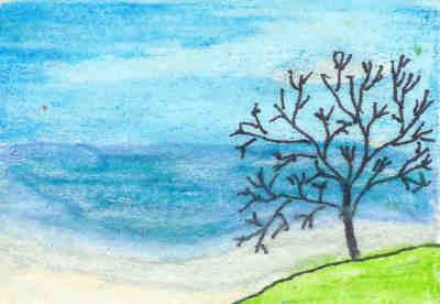 Tree by the sea